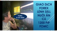 BỌN LỪA ĐẢO FOREX LÀM GÌ CÓ KỸ NĂNG GIAO DỊCH ĐỂ MÀ DẪN CHỨNG ĐƯỢC LỊCH SỬ CỦA CHÚNG