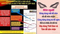 LỪA ĐẢO ỦY THÁC FOREX