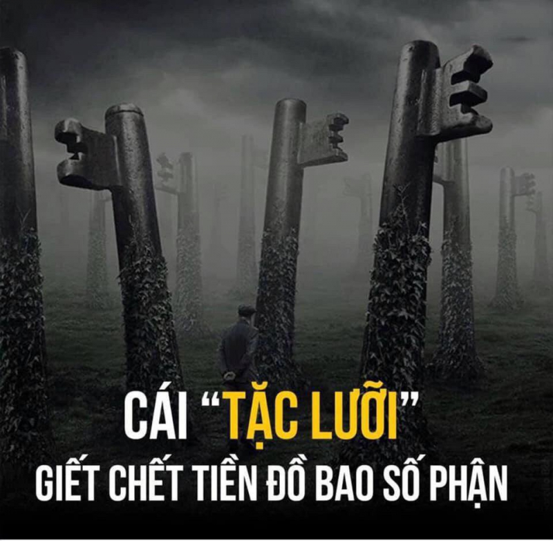 THỊ TRƯỜNG FOREX LỜI HỨA, CAM KẾT, ĐẢM BẢO VÀ NÓI MỒM LÀ CHÌA KHÓA HỦY DIỆT NHÀ ĐẦU TƯ