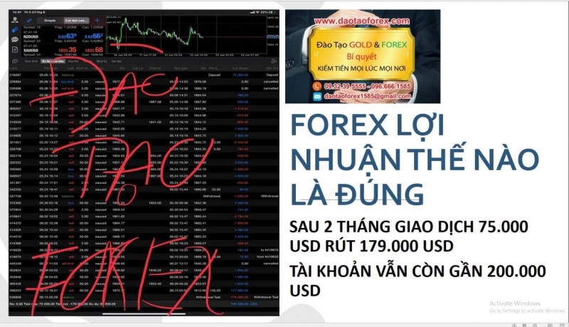 GIAO DỊCH FOREX LỢI NHUẬN THẾ NÀO LÀ ĐÚNG