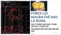 GIAO DỊCH FOREX LỢI NHUẬN THẾ NÀO LÀ ĐÚNG