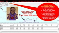 COPPY TRADE FOREX NGHĨ SAO MÀ ĐI COPPY TRADE TỪ MỘT THẰNG ĐÁNH DEMO