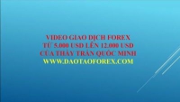 Thước đo trên thị trường đầu tư Forex chính là giá trị của tài khoản giao dịch Forex,