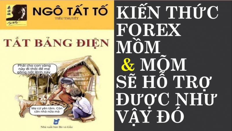 KIÊN THỨC FOREX THỰC TẾ KHÁC HẲN TRONG SÁCH VỞ VÀ TRÊN MẠNG
