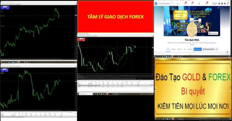 TÂM LÝ GIAO DỊCH FOREX