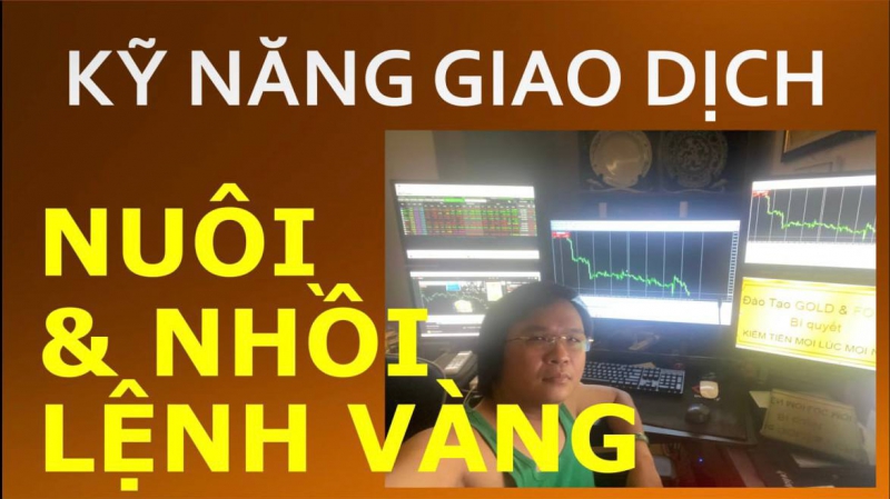KỸ NĂNG GIAO DỊCH VÀNG NUÔI VÀ NHỒI LỆNH