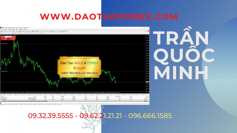 GIAO DỊCH FOREX MÕM LÀ THẾ NÀO?