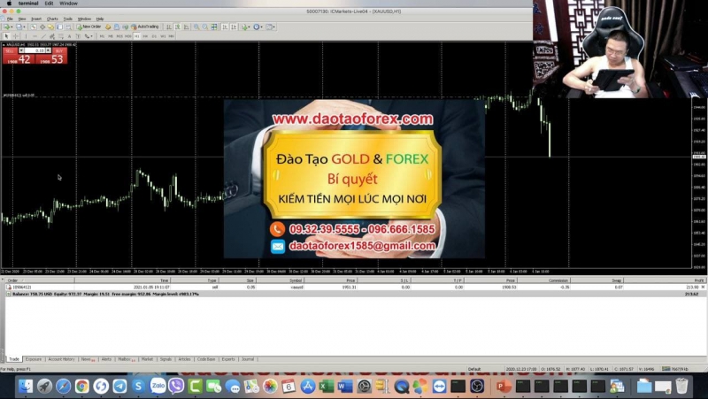 CHUYÊN GIA FOREX VÀ CHIẾN LƯỢC FOREX ĐỂ LỪA ĐẢO LÀ THẾ NÀO