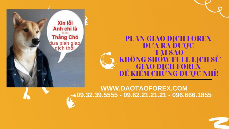ĐỨA NÀO ĐƯA PLAN GIAO DỊCH FOREX ĐÂU CHỨNG MINH LIVE THỰC TẾ ĐI