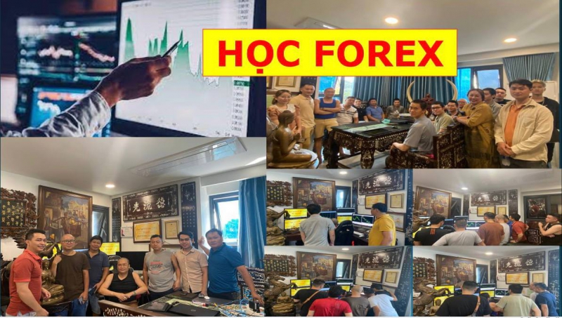 HỌC FOREX