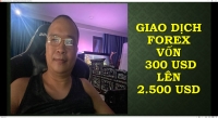 GIAO DỊCH FOREX LỢI NHUẬN BAO NHIÊU LÀ ĐỦ