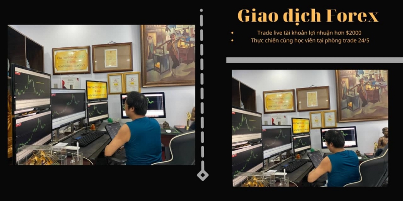 TRADER VIÊT TRẦN QUỐC MINH