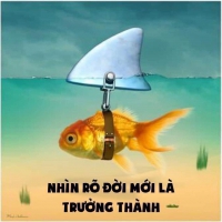 HỌC FOREX CHIÊU TRÒ LỪA ĐẢO CẦM TAY CHỈ VIỆC