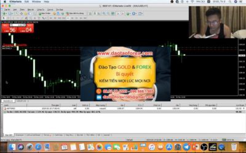 Thị trường Forex là nơi đầu tư, không có chô cho bất ky một ai 