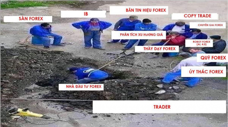THỊ TRƯỜNG FOREX TOÀN BỌN MỊ DÂN