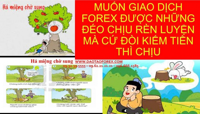 MUỐN GIAO DỊCH FOREX ĐƯỢC NHỮNG ĐÉO CHỊU RÈN LUYỆN MÀ CỨ ĐÒI KIẾM TIỀN THÌ CHỊU