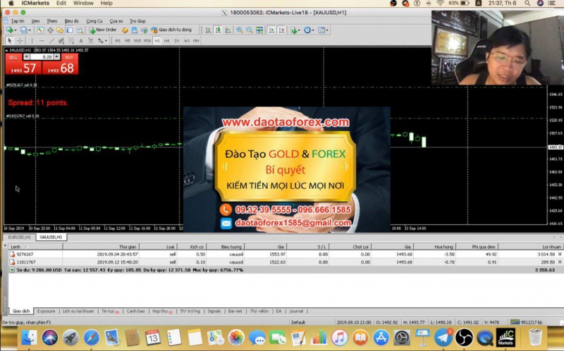Thầy dạy Forex nào trên thị trường Forex này