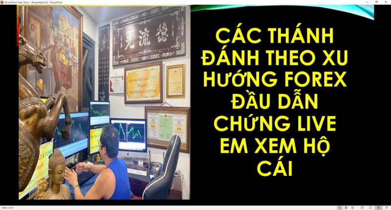 BỌN TRADE FOREX BẰNG TRADING VIEW CÓ ĐỨA NÀO DÁM DẪN CHỨNG THỰC TẾ ĐƯỢC