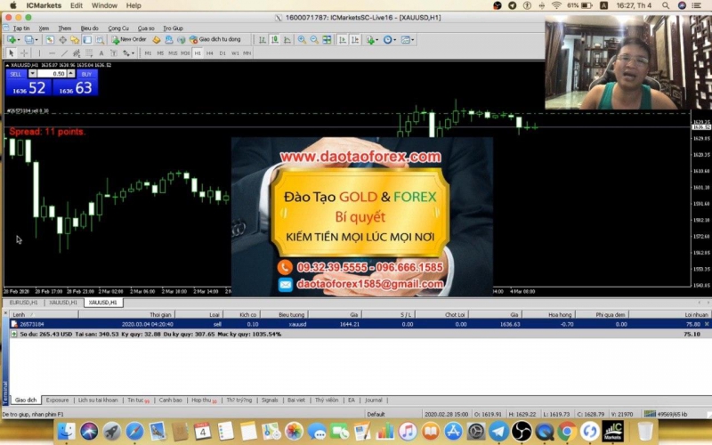 HỆ THỐNG FOREX NÀO CÓ THỂ GIÚP NHÀ ĐẦU TƯ FOREX THÀNH CÔNG