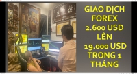 FOREX GIÁ TRỊ THỰC CỦA MỘT TRADER