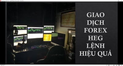 LỢI NHUẬN GIAO DỊCH FOREX PHẢI DẪN CHỨNG T&Agrave;I KHOẢN CHỨ KH&Ocirc;NG N&Oacute;I MỒM