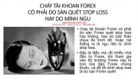 CHÁY TÀI KHOẢN FOREX CÓ PHẢI DO SÀN QUÉT STOP LOSS HAY DO MÌNH NGU