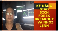 KỸ NĂNG GIAO DỊCH FOREX BREAKOUT VÀ NHỒI LỆNH