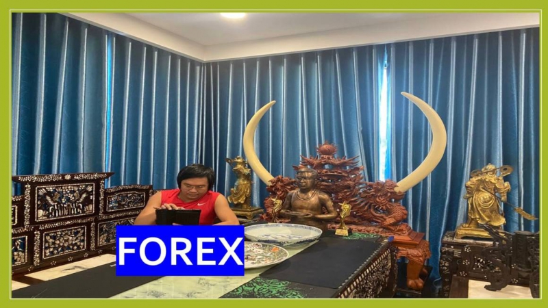 FOREX