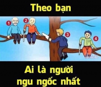 Trung tâm đào tạo Forex và đầu tư vàng,