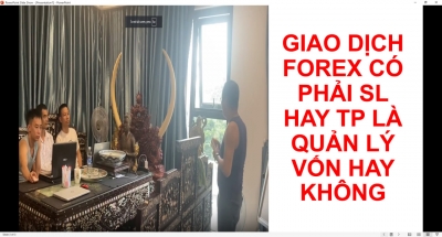GIAO DỊCH FOREX CÓ PHẢI SL HAY TP LÀ QUẢN LÝ VỐN HAY KHÔNG
