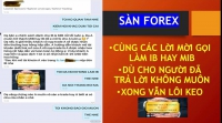GIAO DỊCH FOREX ĐƯỢC THÌ CẦN GÌ LÀM IB HAY MIB