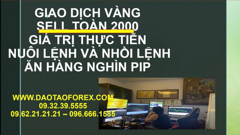 GIAO DỊCH VÀNG SELL TỪ 2000 VỀ ĂN HÀNG NHÌN PIP