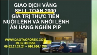 GIAO DỊCH VÀNG SELL TỪ 2000 VỀ ĂN HÀNG NHÌN PIP