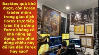 FOREX TRADER MÕM THÌ TOÀN BACKTES CÒN THỰC TẾ CÓ DÁM CHỨNG MINH ĐÂU