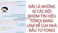 CẢNH BÁO VỀ CÁC NHÓM TÍN HIỆU FOREX MỞ RA ĐỂ LÙA GÀ