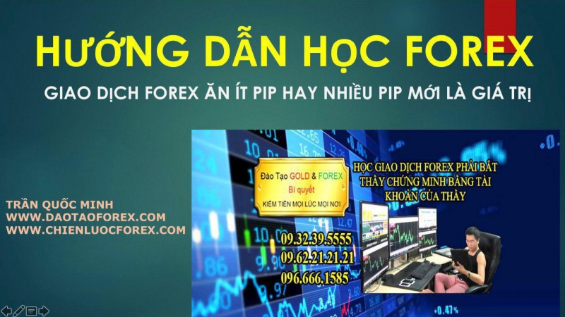 HỌC FOREX ĂN ÍT PIP HAY NHIỀU PIP MỚI LÀ ĐÚNG