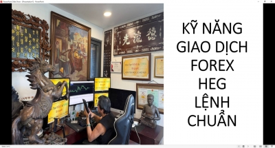 HƯỚNG DẪN FOREX HEG LỆNH HIỆU QUẢ