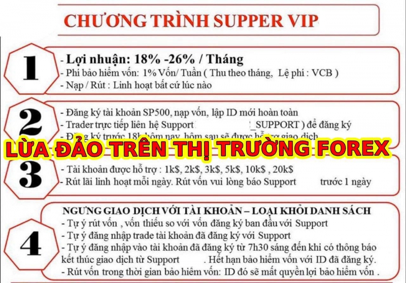 THỊ TRƯỜNG FOREX CÁC HÌNH THỨC LỪA ĐẢO