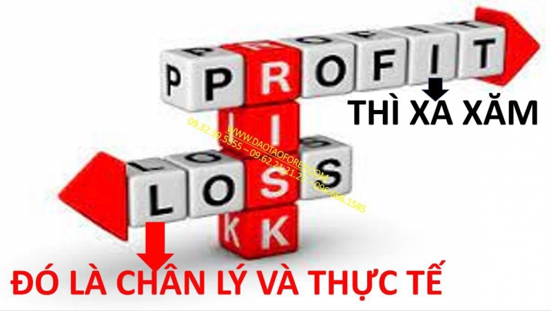 CHÂN LÝ TRÊN THỊ TRƯỜNG FOREX
