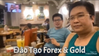 HƯỚNG DẪN FOREX SỰ ĐỒNG HÀNG NHIỀU NĂM