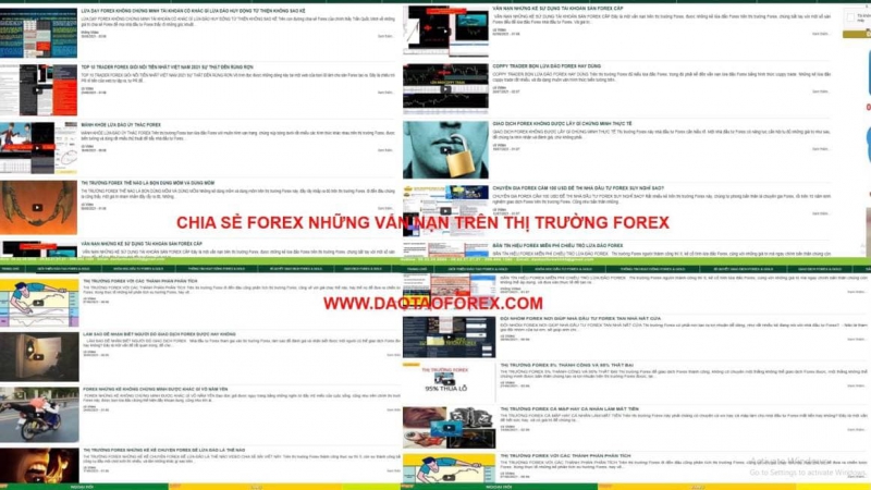 CHIA SẺ FOREX NHỮNG BIẾN TƯỚNG LỪA ĐẢO FOREX