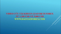 ĐẦU TƯ FOREX CỨU TÀI KHOẢN TỪ 1200 USD VỀ 5000 USD