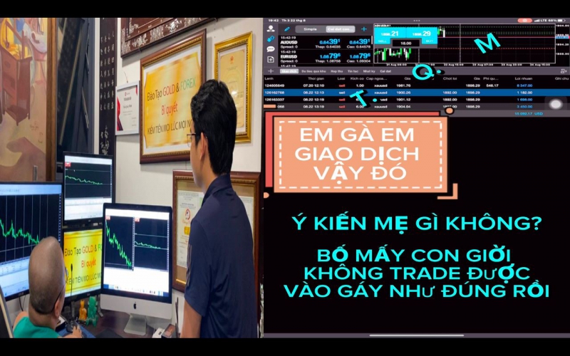FOREX TRADER CHUYÊN NGHIỆP LÀM GÌ CÓ CÁI CHUYỆN ĐÁNH 0.1 HAY 0.2