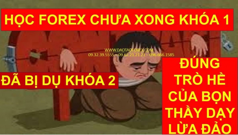 HỌC FOREX CHƯA XONG KHÓA 1 ĐÃ BỊ DỤ KHÓA 2 ĐÚNG TRÒ HỀ CỦA BỌN THẦY DẠY LỪA ĐẢO