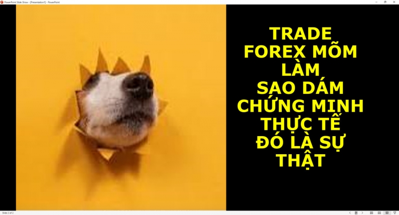 TRADE FOREX MÕM LÀM SAO DÁM CHỨNG MINH THỰC TẾ ĐÓ LÀ SỰ THẬT