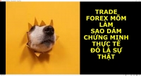 TRADE FOREX MÕM LÀM SAO DÁM CHỨNG MINH THỰC TẾ ĐÓ LÀ SỰ THẬT