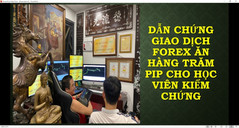 BỌN CHIA SẺ FOREX KHÔNG DÁM ĐƯA MẶT RA CHỈ LÀ NHỮNG KẺ LỪA ĐẢO MÀ THÔI