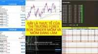 KẺ GIAO DỊCH FOREX MỒM MÕM VÀ NGƯỜI GIAO DỊCH FOREX THỰC TẾ KHÁC NHAU THẾ NÀO