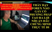 THẦY DẠY FOREX NÀO DÁM CHỨNG MINH ĂN HÀNG TRĂM PIP HAY CHỈ TOÀN BỌN TRADING VIEW