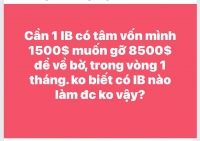 THỊ TRƯỜNG FOREX IB CÓ TÂM GIÚP NHÀ ĐẦU TƯ FOREX VỀ BỜ HAY BÁN NHÀ